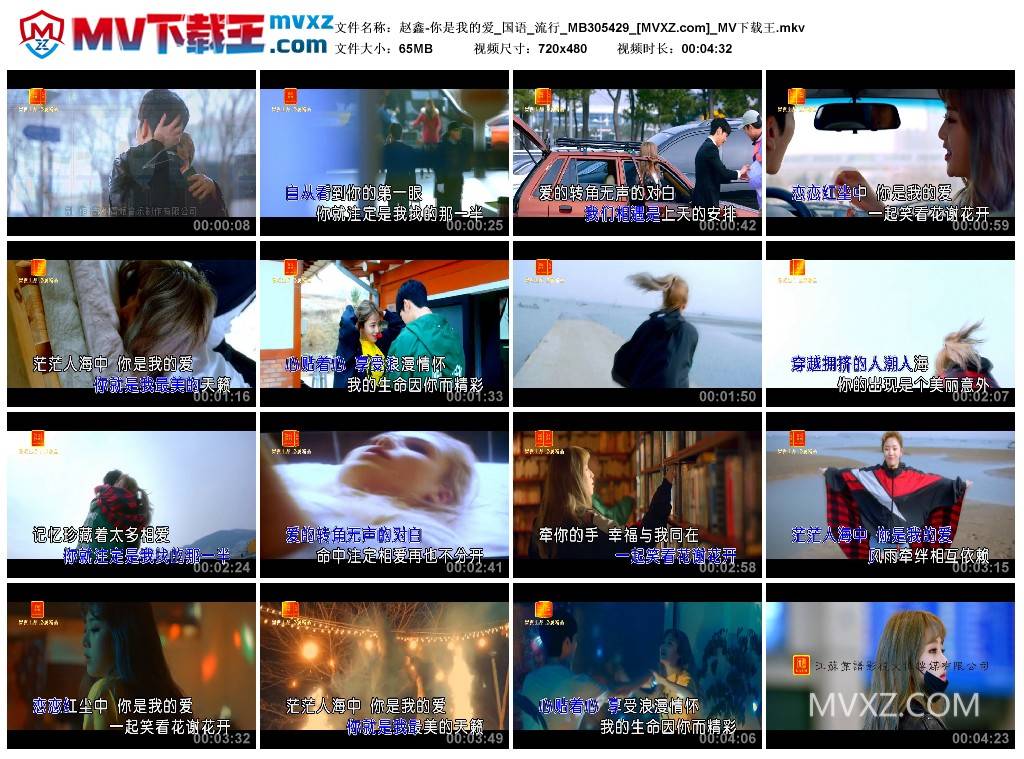 赵鑫-你是我的爱_国语_流行_MB305429